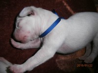 /album/fotogalerie-stenatka/p1221819-jpg/