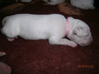 /album/fotogalerie-stenatka/p1221824-jpg/